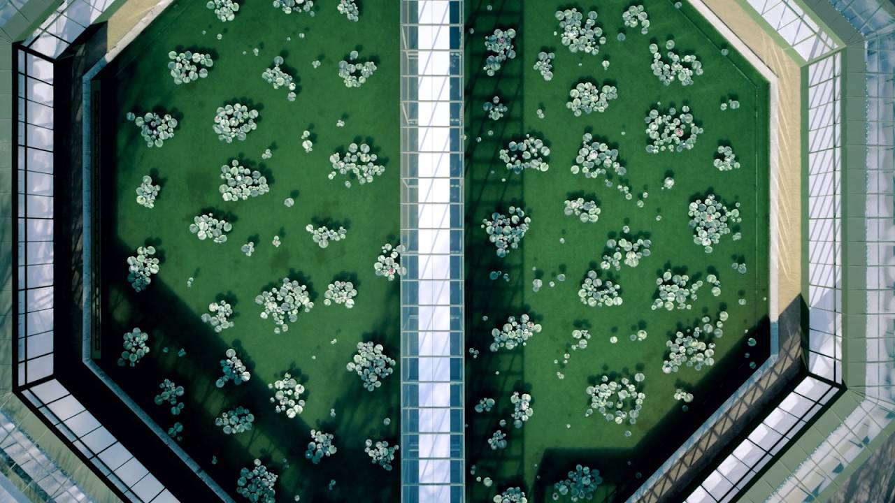 Dior Autumn Winter 2026-2027 Show